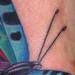 Tattoos - Blue Butterfly  - 79406